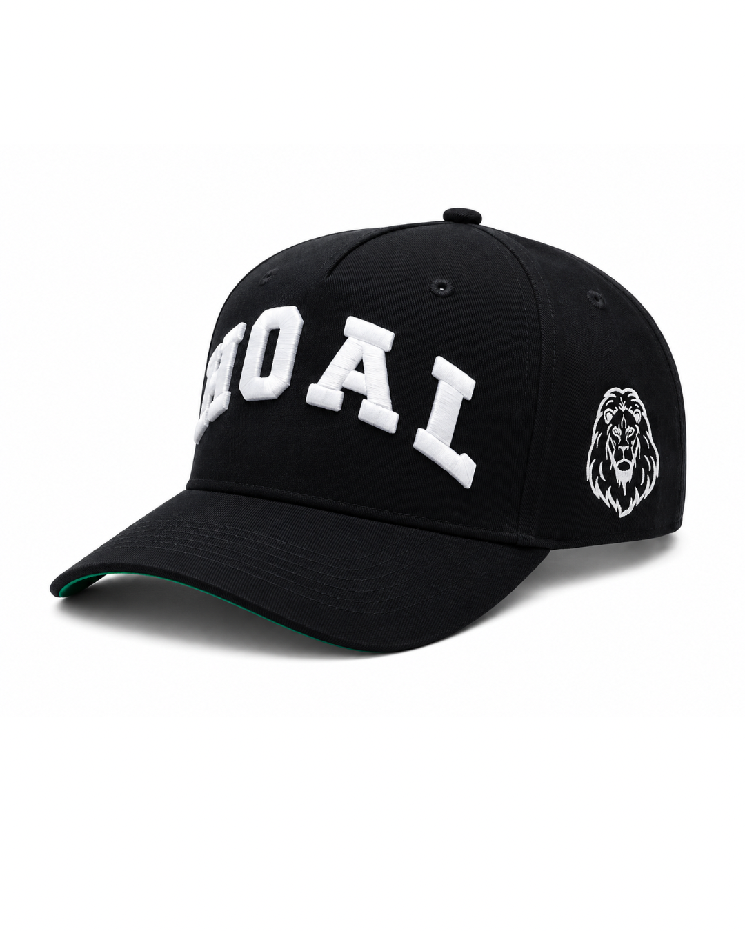 HOAL Signature Snapback